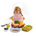 Awesome Homemade Dog Food Preparation and Recipes