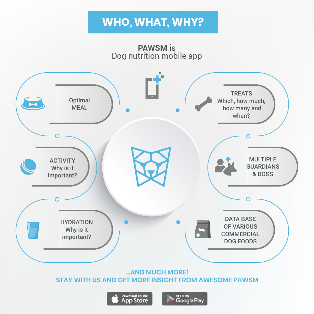 Presentation of main Pawsm mobile app features.
